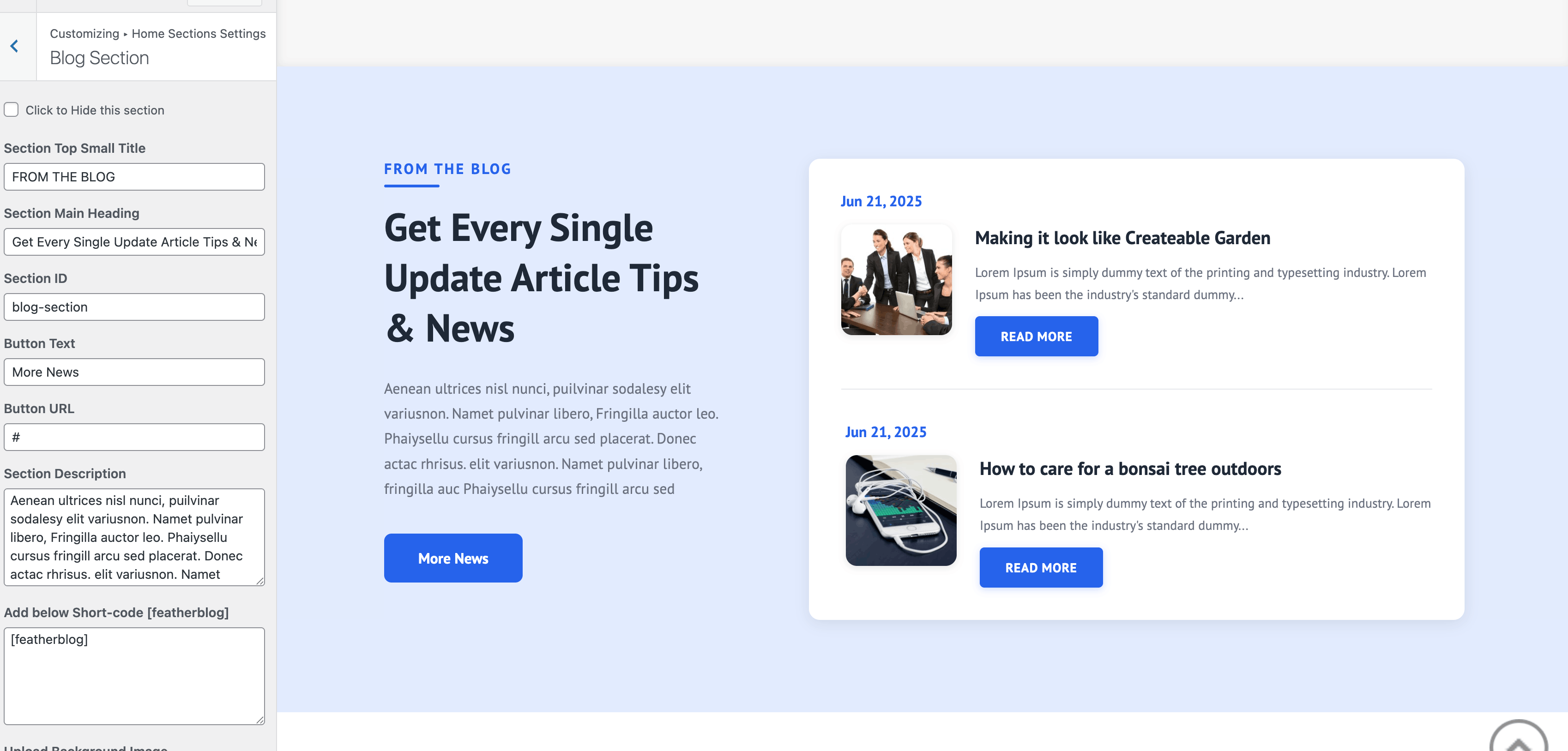 Blog section in Customizer
