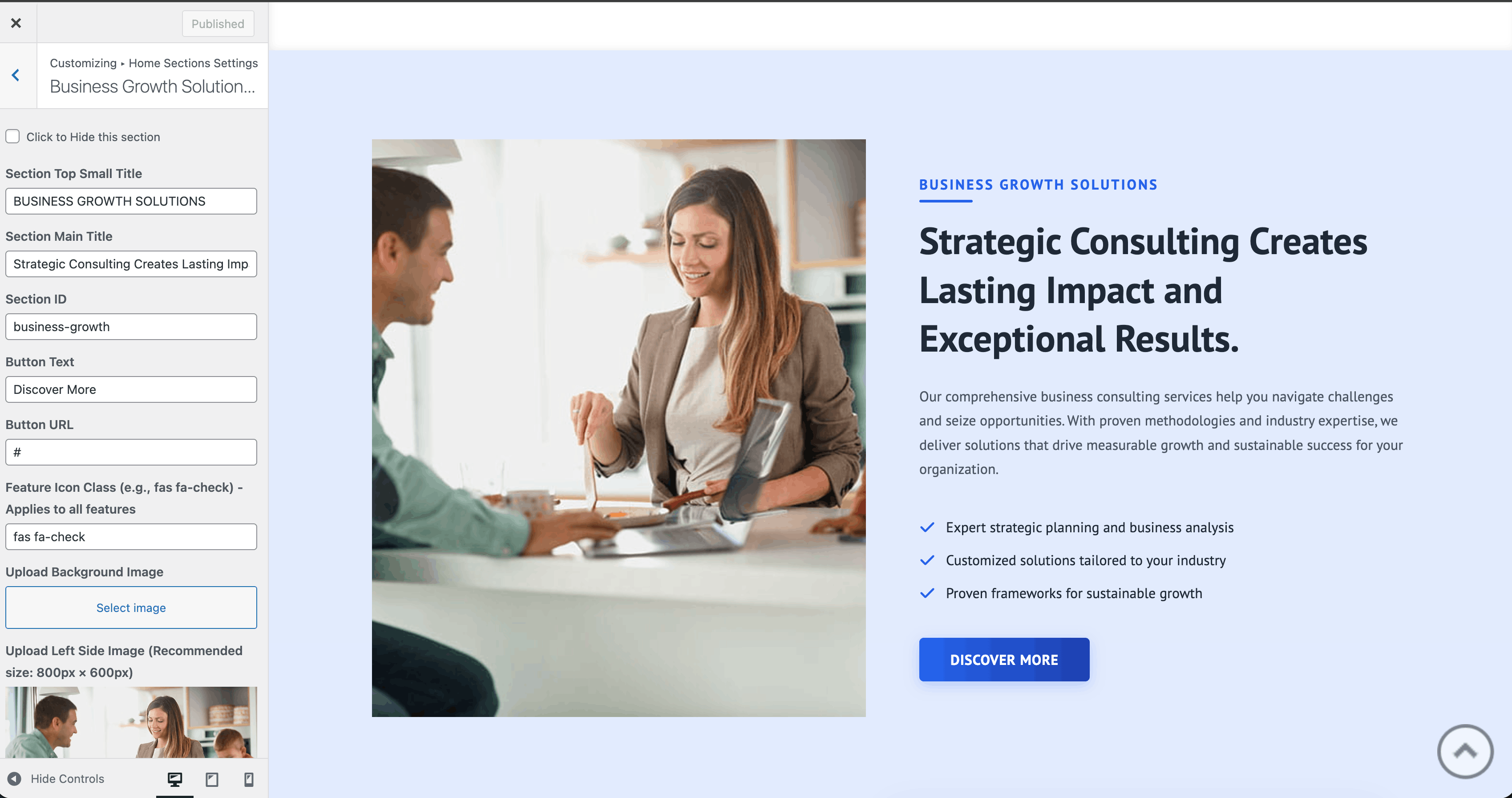 Business Growth Solutions section in Customizer