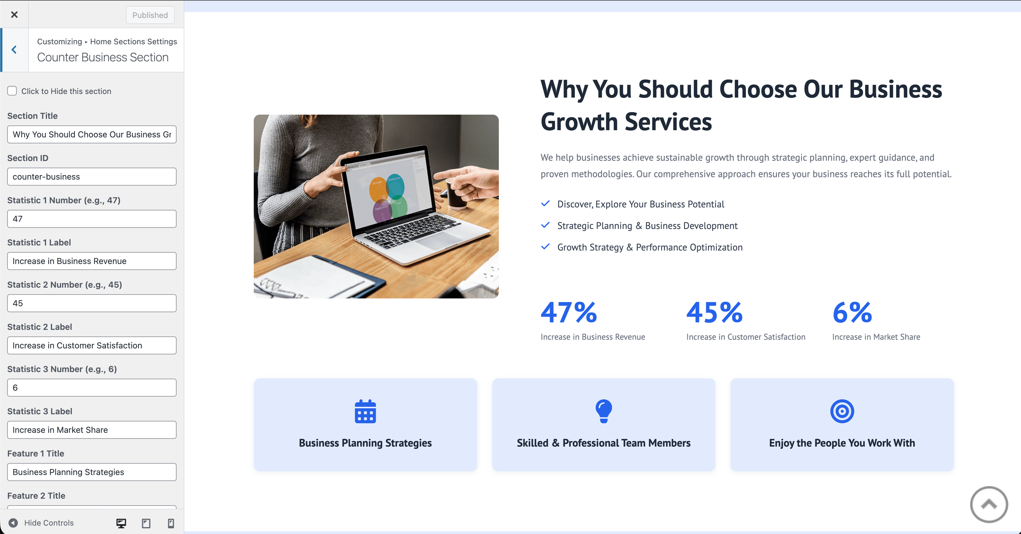 Counter Business section in Customizer