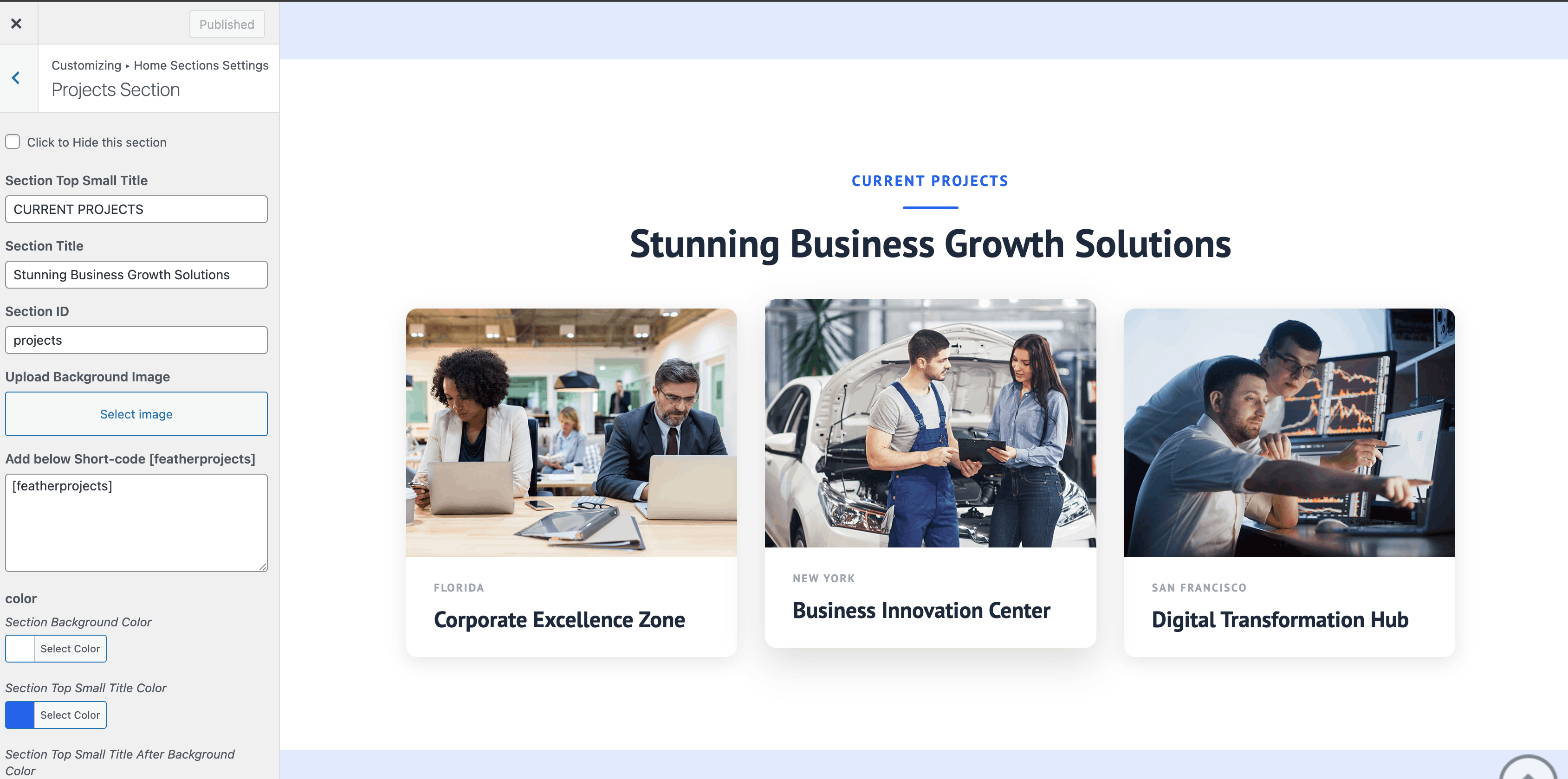 Projects section in Customizer