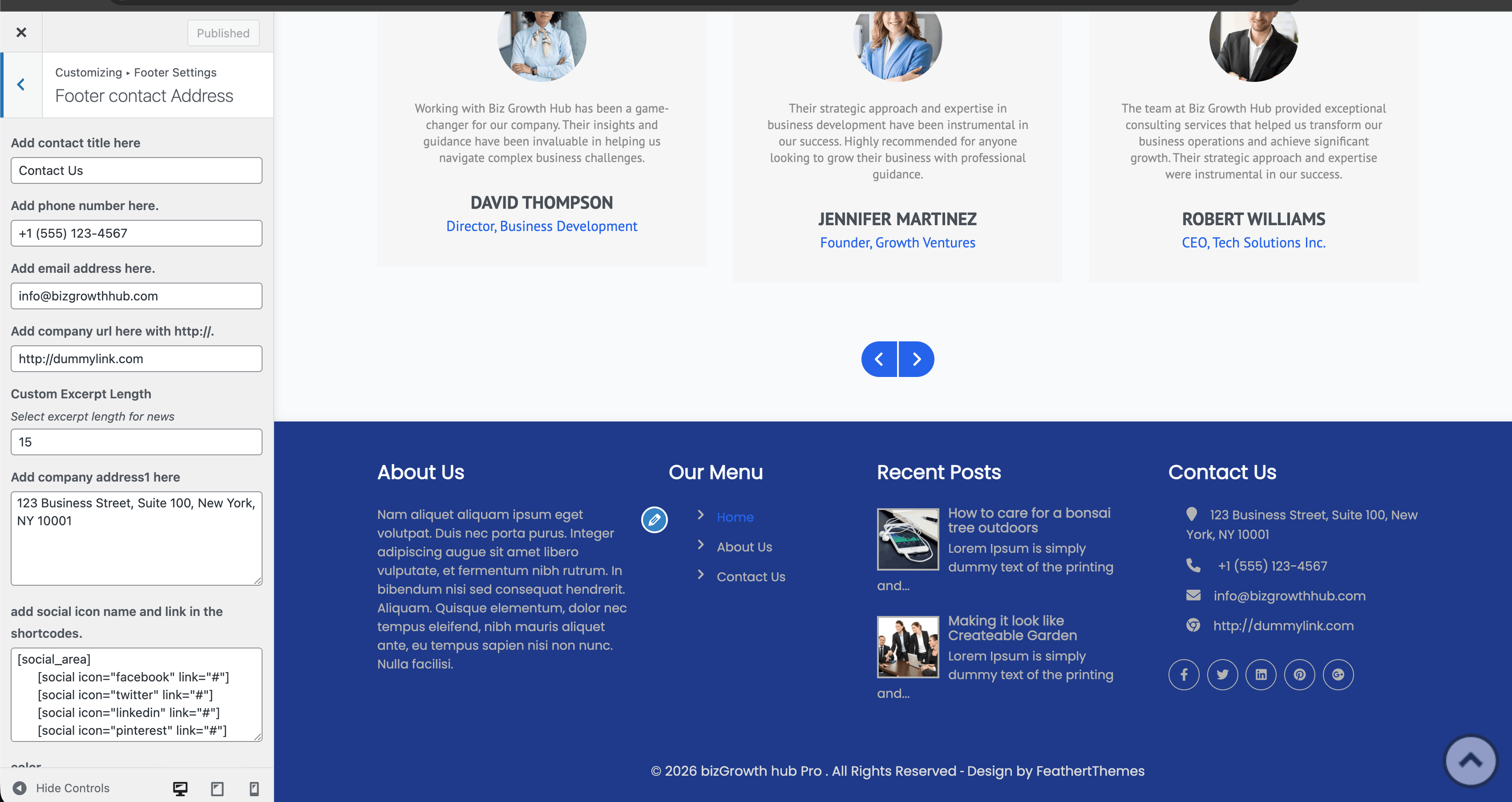 Footer contact address in Customizer