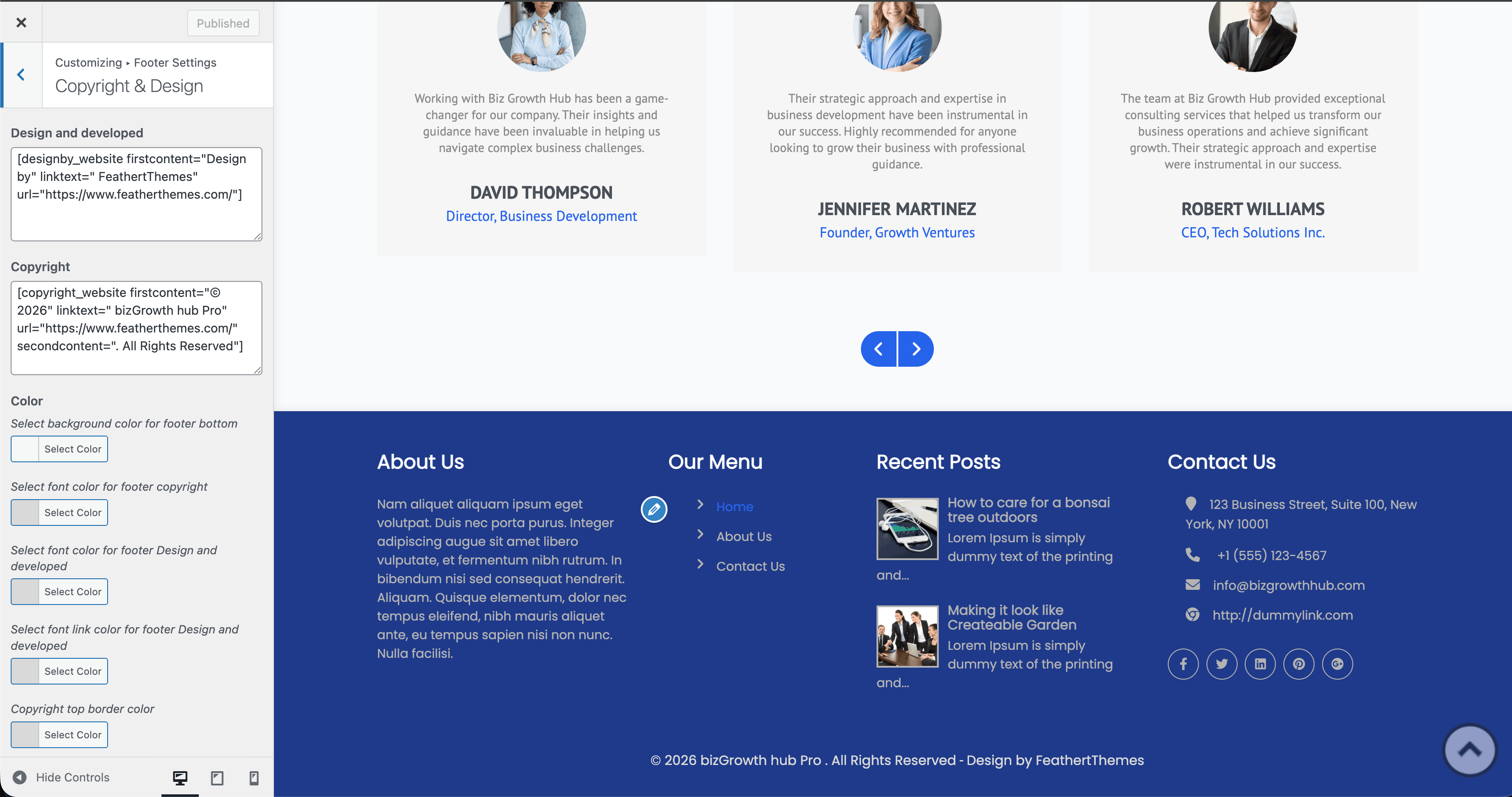 Footer copyright & design in Customizer