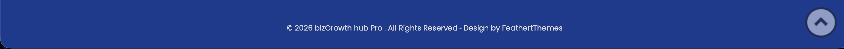 Footer copyright area