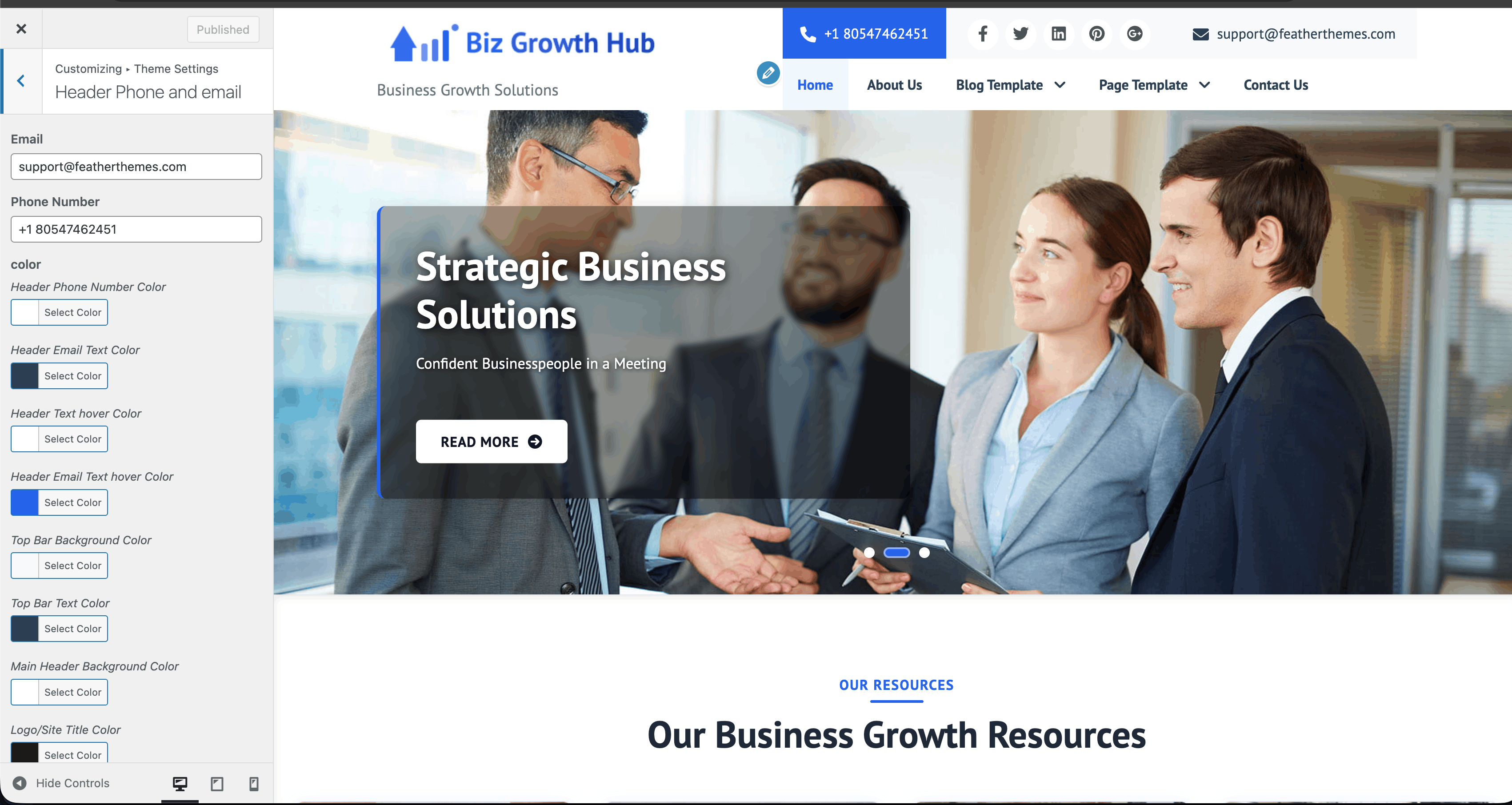 Header phone and email settings in Customizer