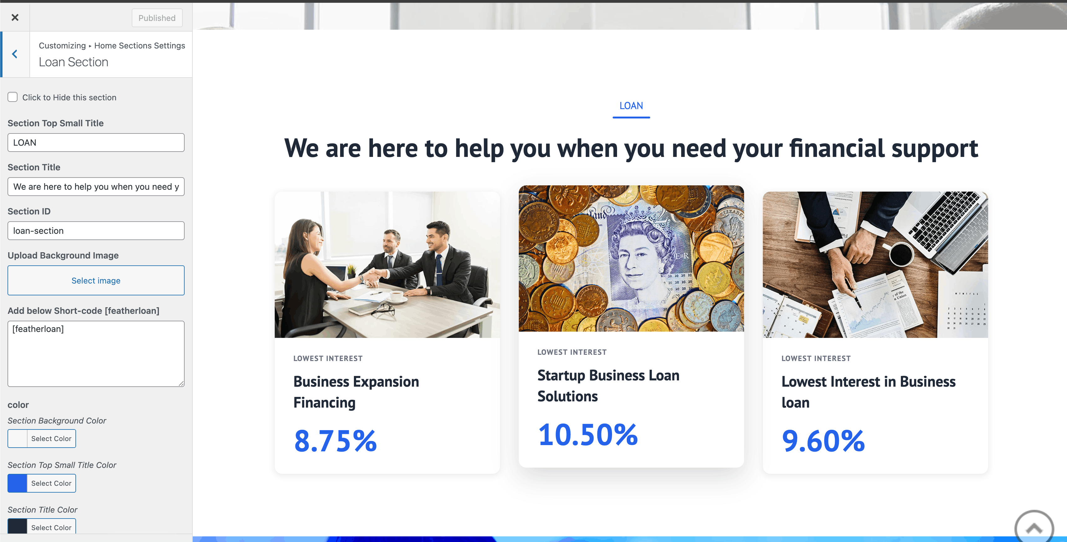 Loan section in Customizer