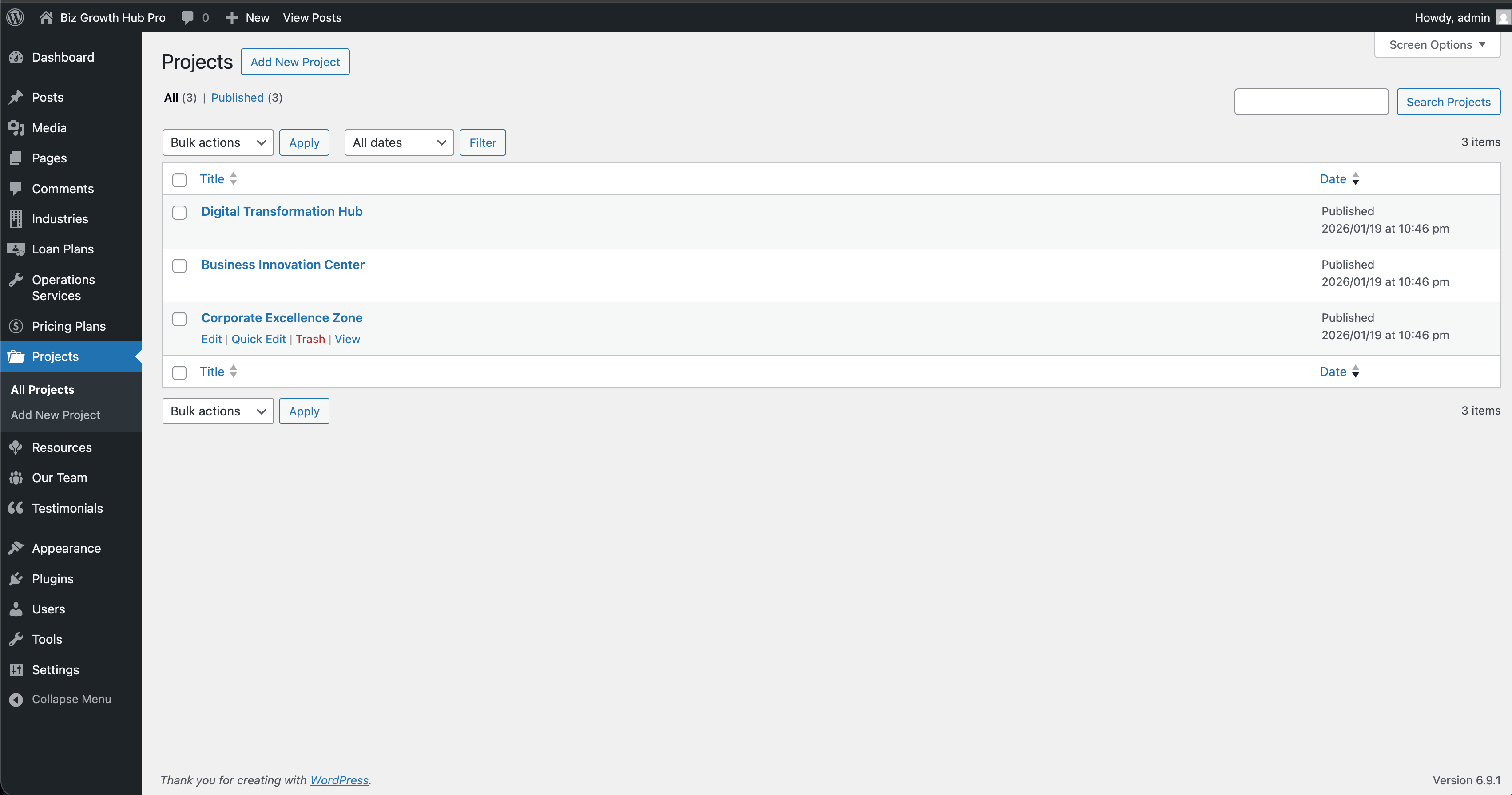 Projects list in WordPress admin