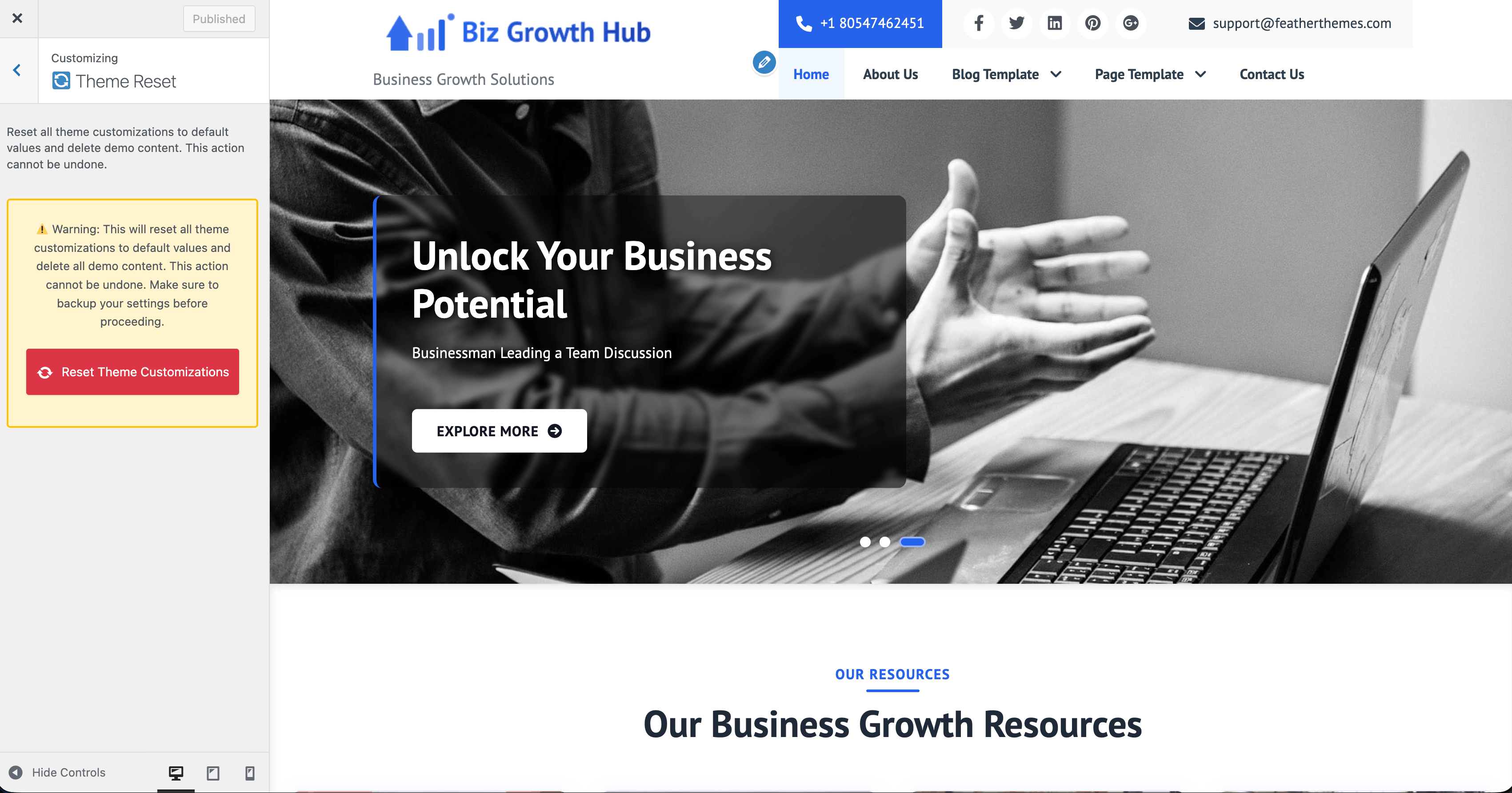 Theme Reset in Customizer