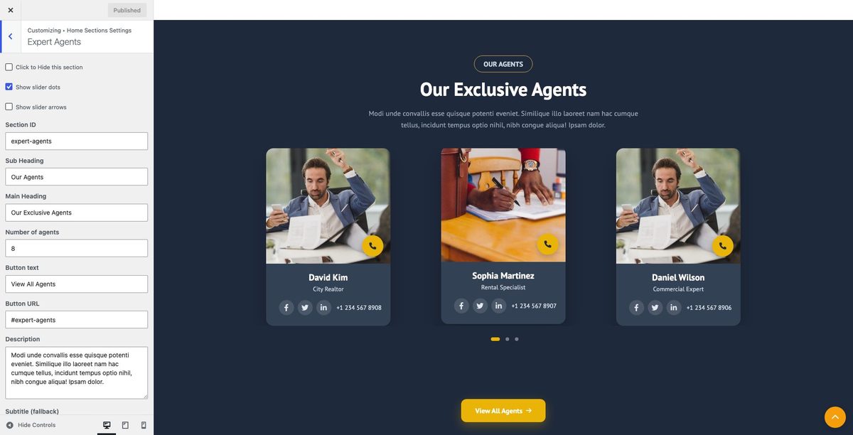 Expert Agents customizer