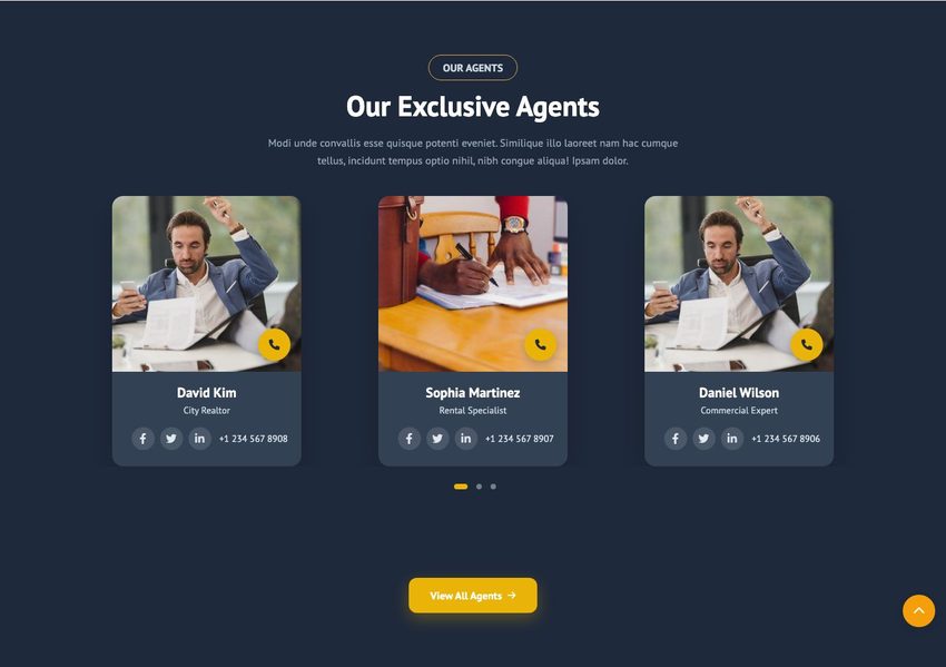 Expert Agents