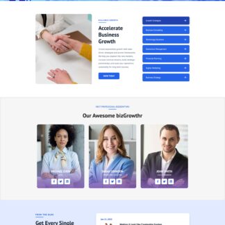 WordPress Biz Growth Hub Pro Theme