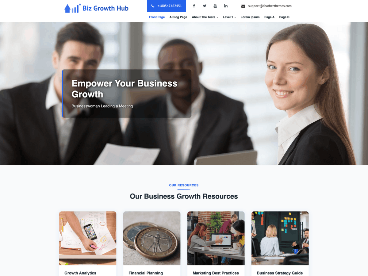 WordPress Biz Growth Hub Lite Theme